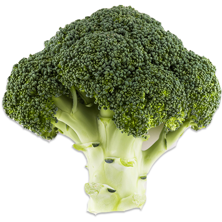 Broccoli 