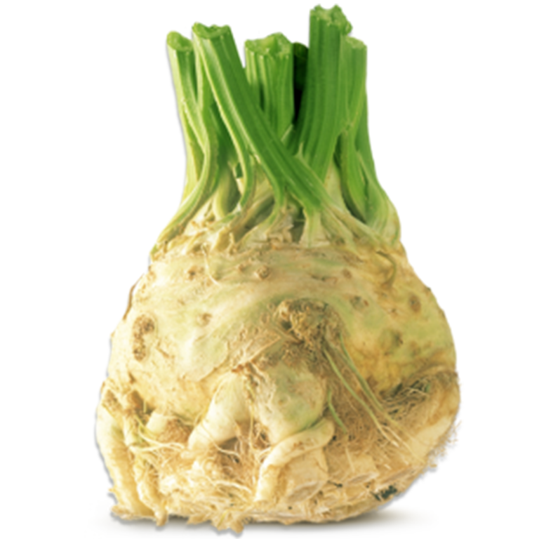 Celeriac 