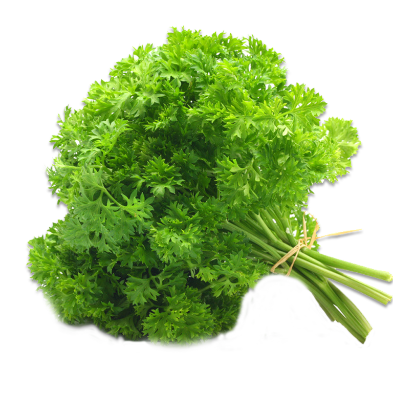 Curly-Parsley 