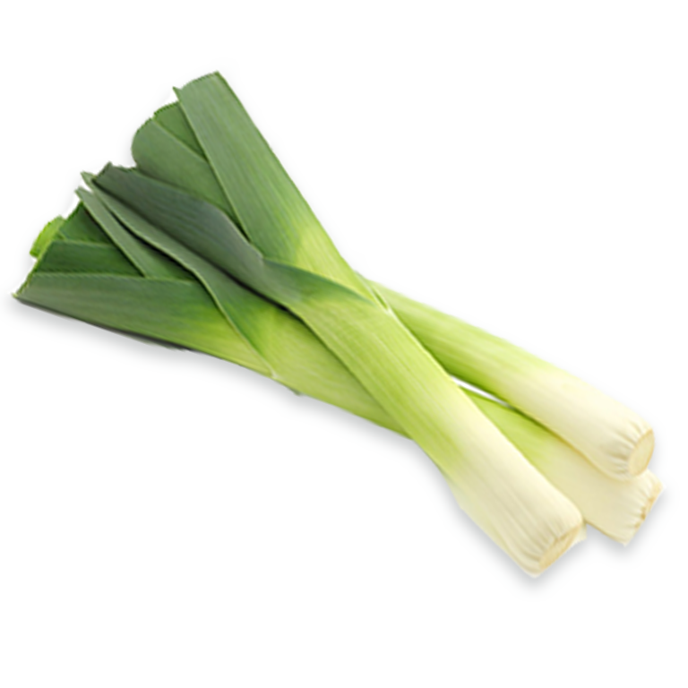 Leek