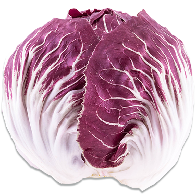 Radicchio