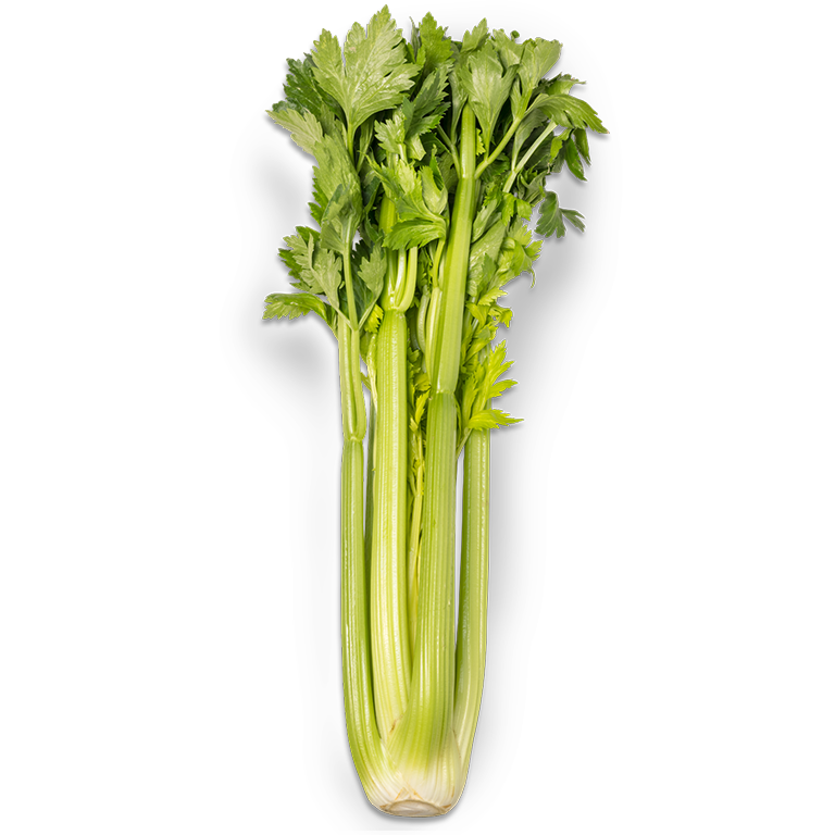 Celery