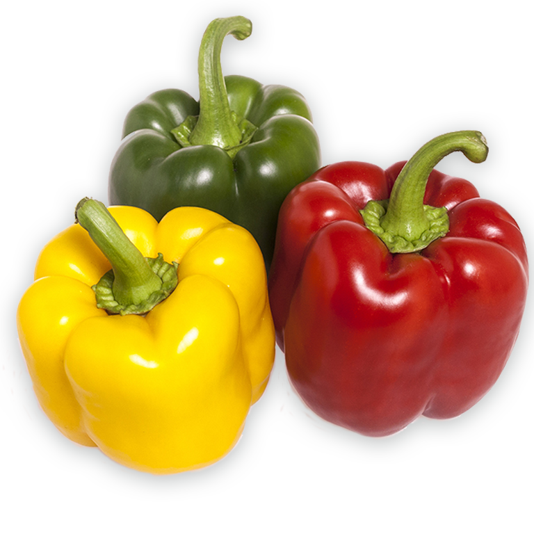 Capsicum