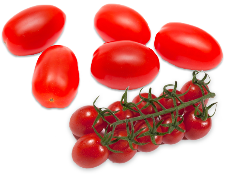 Cherry plum tomatoes