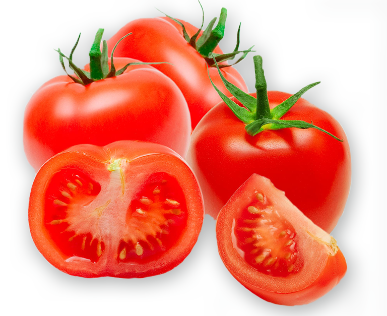 Long life tomatoes