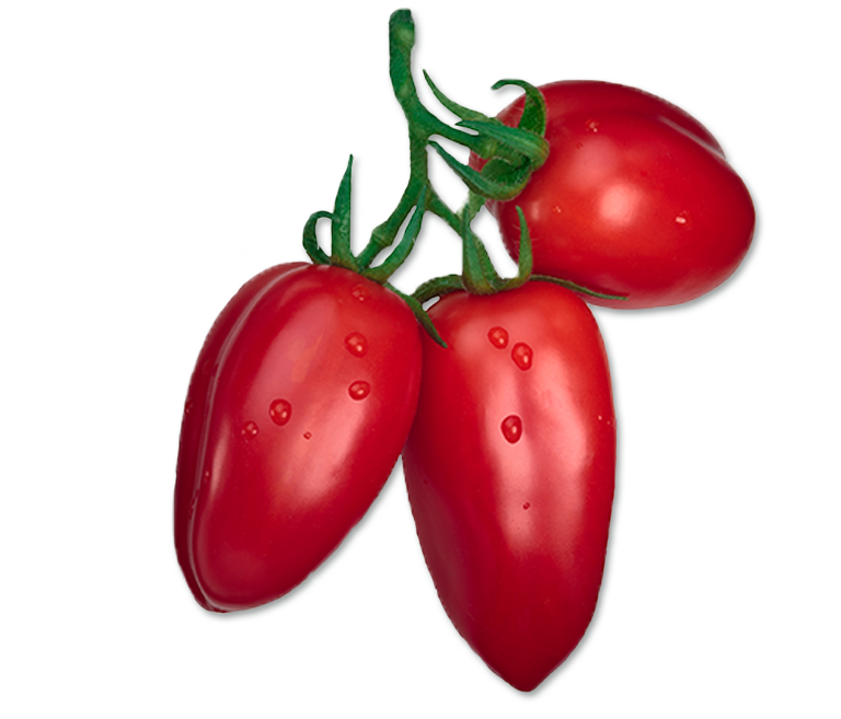 San Marzano