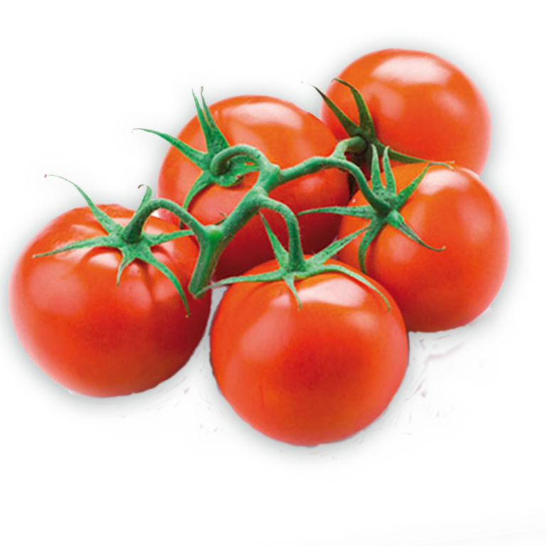 Tomato